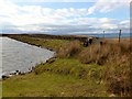 NS2268 : The Kelly Reservoir dam by Gordon Brown
