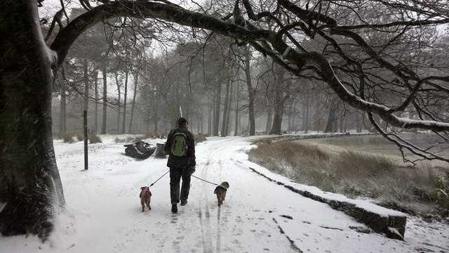 Snowy day at Longshaw