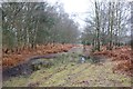 TQ0759 : Muddy track, Wisley Common by Simon Mortimer