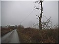 Unnamed lane to Trowley Bottom