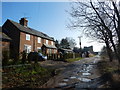 Houses on Bridleway to Harpendenbury Farm