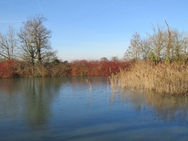Hatchlands Park - Pond