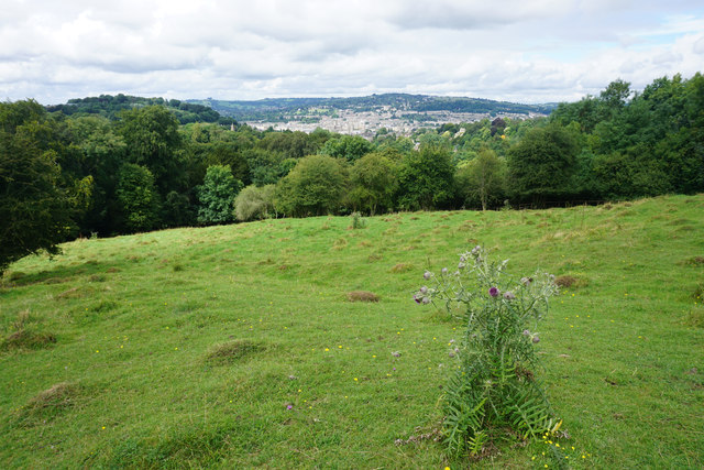 Hillside above Prior Park