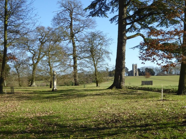 Bare winter trees in Croome Park