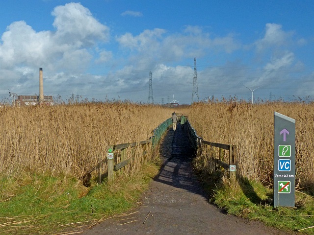 Walkway through the reed beds, Newport Wetlands