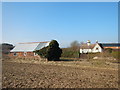 Crouchmoor Farm near Tea Green