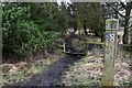 Waggonway towards Seaton Delaval Pit from Plessey Lane