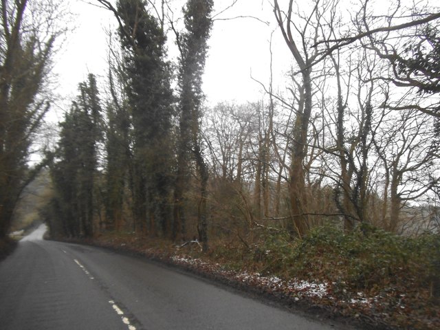 Pickford Road, Cheverell's Green