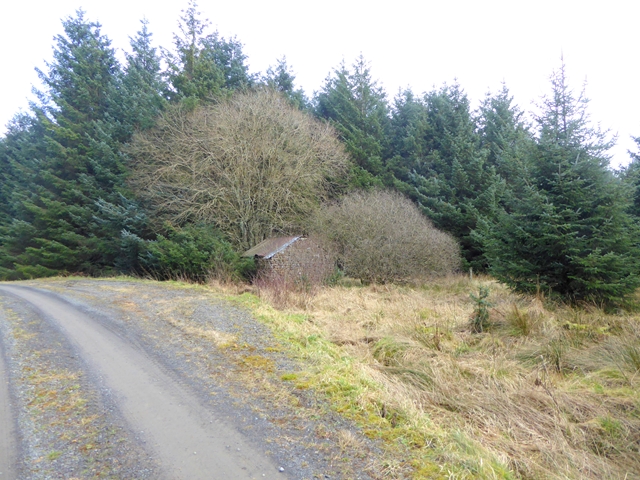 Stone shed at Rushy Knowe