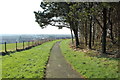 Path at Corsehill Mount