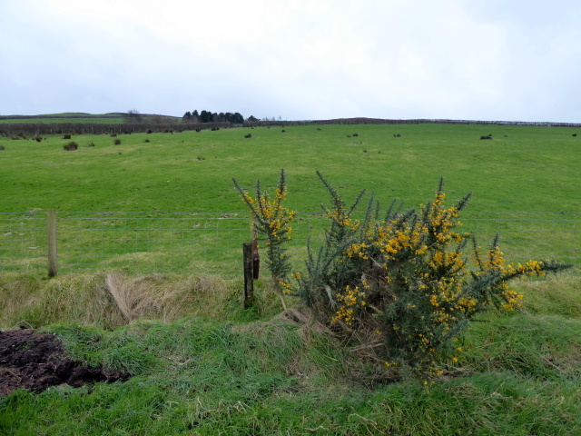 Liscabble Townland © Kenneth Allen cc-by-sa/2.0 :: Geograph Ireland