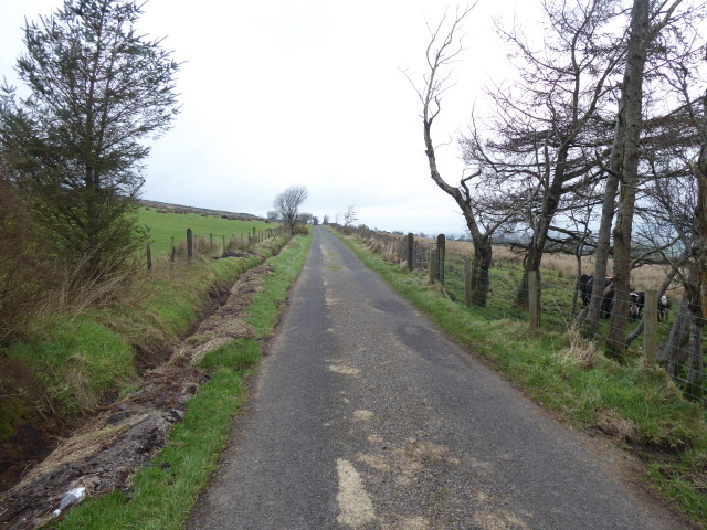 LIscabble Road © Kenneth Allen :: Geograph Ireland