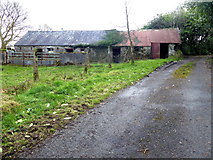 H4585 : Derelict farm buildings, Woodbrook by Kenneth  Allen
