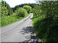 View east from the western end of Ballintemple Road