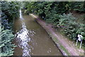 Grand Union Canal near Tring Station