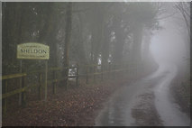 ST1209 : East Devon : Country Lane by Lewis Clarke