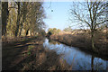 River Lark looking downstream