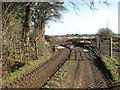 Footpath approaching Tindall Hall