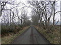 Tree lined farm road to Ledgertlaw