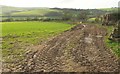 Countryside at Woolston