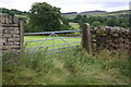 Gateway to field from Hawber Lane north of Drabble House Farm