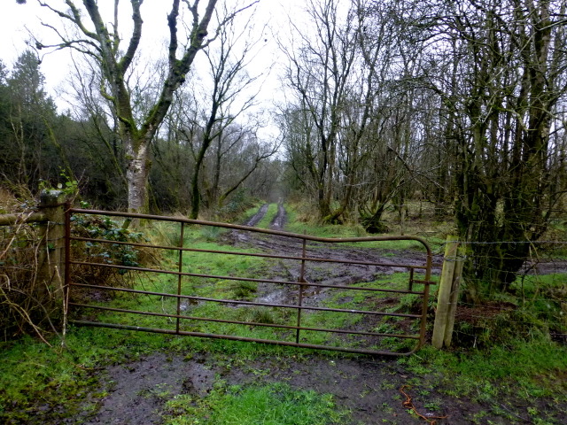 Rusty gate along a country lane, Tattykeeran