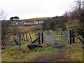 Llwybr Dyffryn Cellwen / Dyffryn Cellwen Path