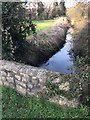 Stream at Cosmeston