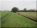 Footpath alongside Rossmoor Drain