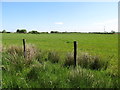 Reclaimed wet land east of the Aghincurk Road