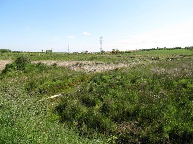 Sheugh in an area of wetland east of Aghincurk Road