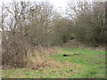 Bridleway off Kidd Lane