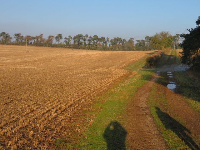 Shadows on a farm track