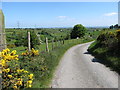 Descending Dairy Lane