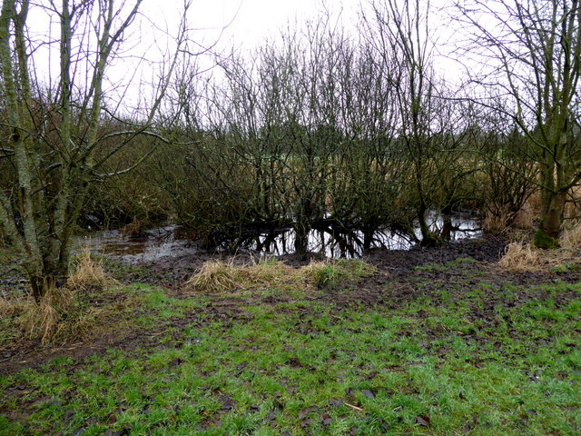 Swampy ground, Mullaghmore