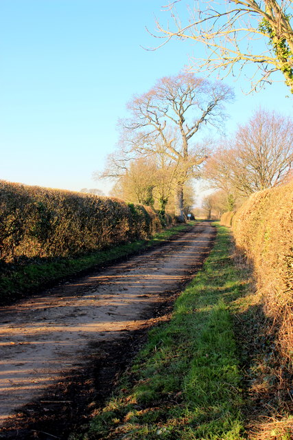 Track to Thorney Lane Farm