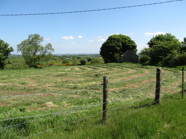 Mown meadow off Dairy Lane
