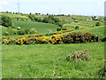 Valley below Dairy Lane