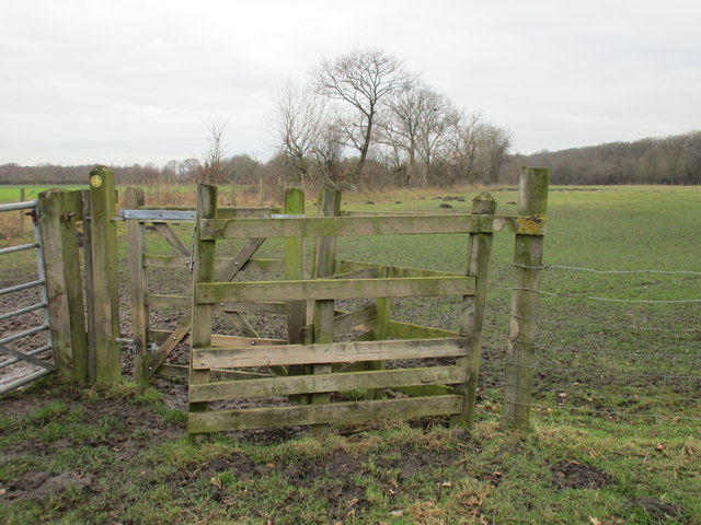 Gate near the corner of a field