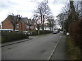 Lime Tree Avenue, Moortown