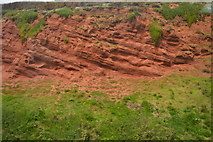 SX9777 : Red Sandstone Cliff by N Chadwick
