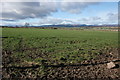 Field at Gloagburn Farm