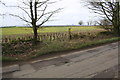 SP2709 : Isolated gatepost beside road with solar panel farm in background by Roger Templeman