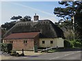 Thatched house, near Habrough