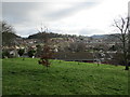 Bridport Jubilee Green and Community Orchard