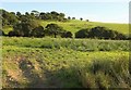 Valley by Bommertown Cross