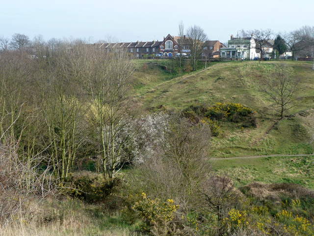 The Slade, Plumstead Common © Robin Webster :: Geograph Britain and Ireland