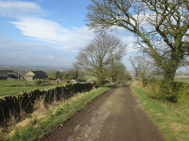 Rodknoll Lane near Nether Rodknoll Farm