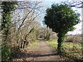 Footpath along the line of the former Merton Park to Tooting railway line