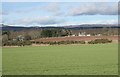 Fields southwest of St David